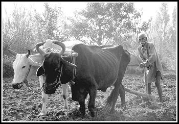 Bhagat Bhikhan Ji